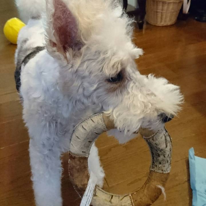 3774bd63 df62 4a6a 885d 4421b83e8a12