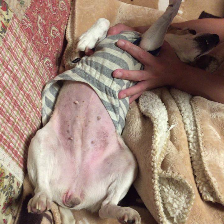 3774faeb 25d6 40d9 a4a3 21b061b4408f