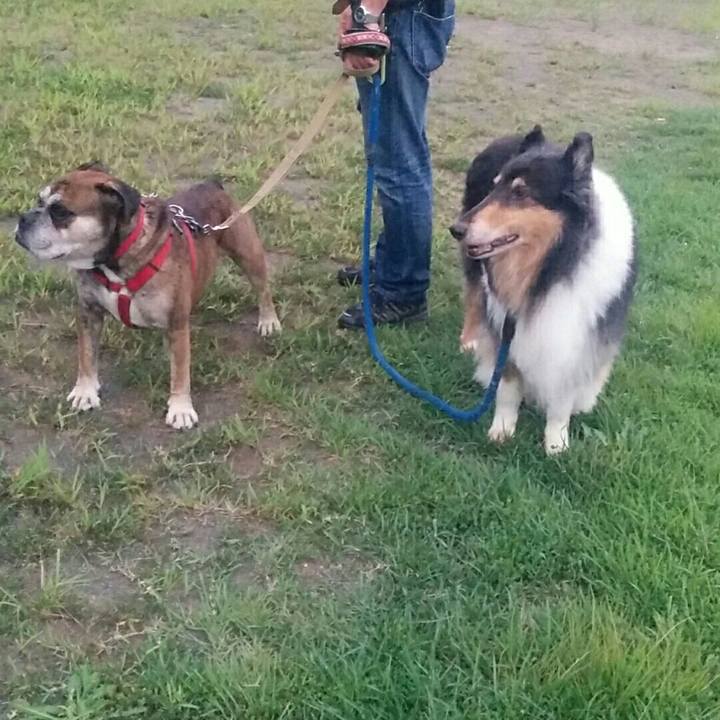 37752402 7669 4926 a4d2 66ad0cb19e06