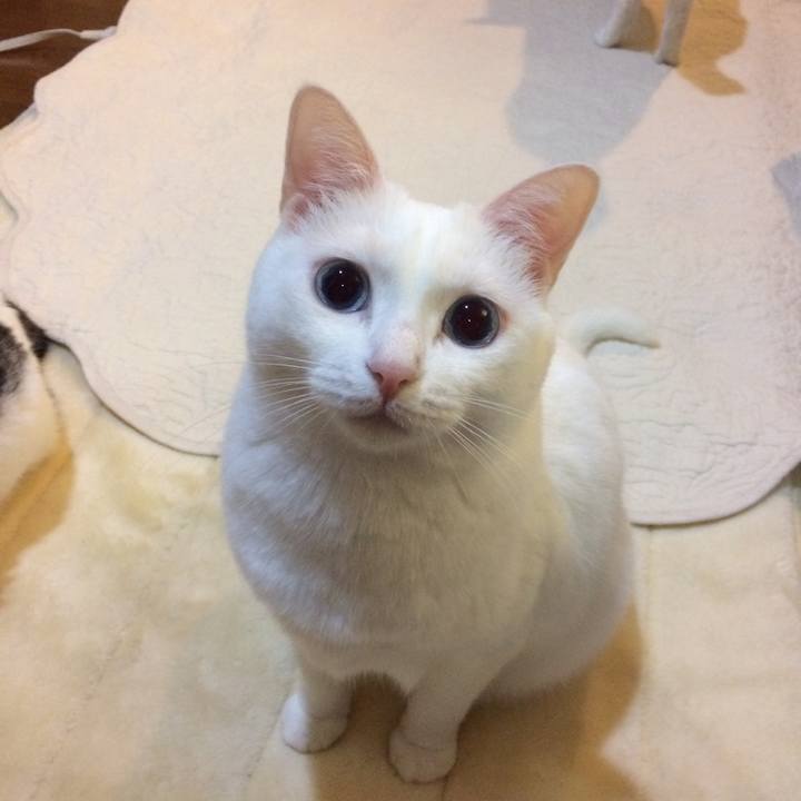 3775291b 0ee3 4595 aa72 9172d10a3cb6