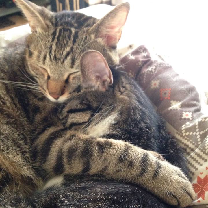 3776ffc9 9466 4f75 bd6b 8bcda2559e39