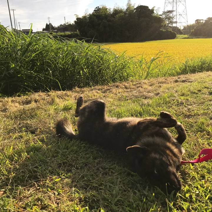 37775640 a035 4392 aef7 6eef5233c304