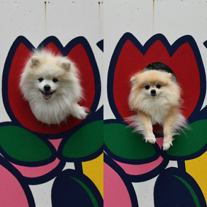 37777bb9 01b3 444d b71c 066ac5c70b40