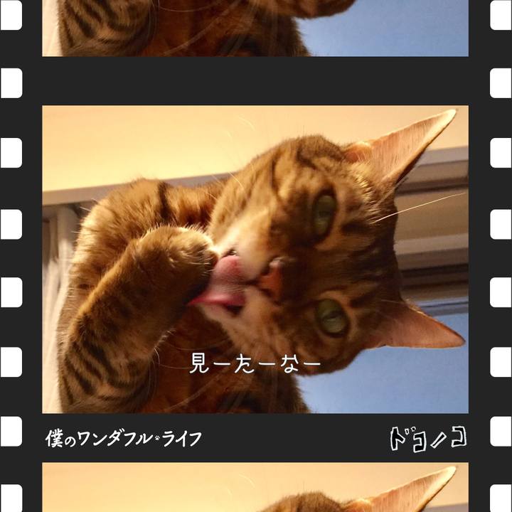 37778dd9 d9c6 4463 b0ce f1d8fa17efe9