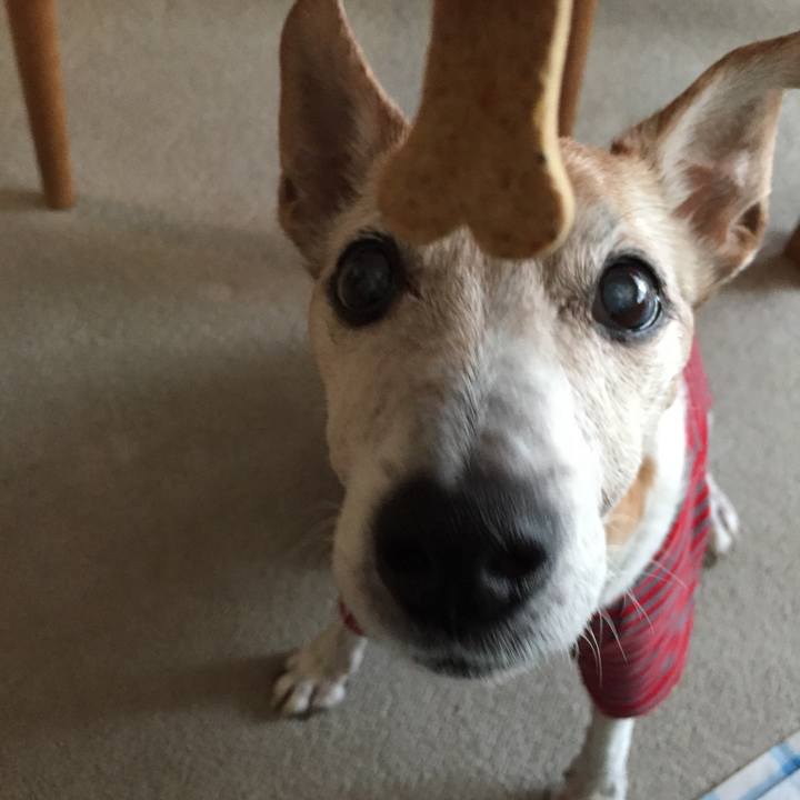 3777e119 206b 4de1 9e8e 68f1db39c9bc