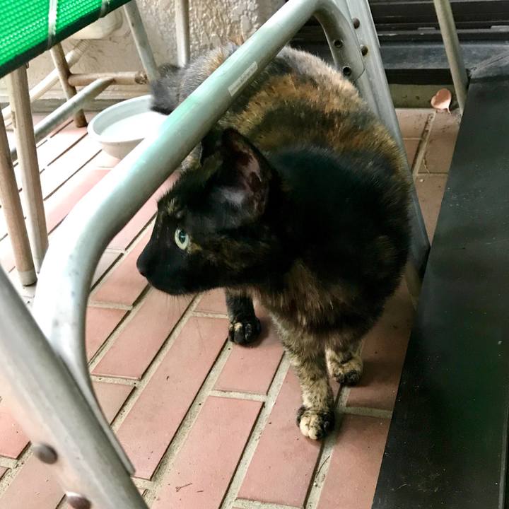 377843f4 60eb 4cf3 98f3 a1d415018945