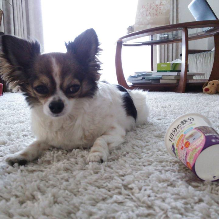 3778d944 5613 4398 a763 7c06c3fdf93e