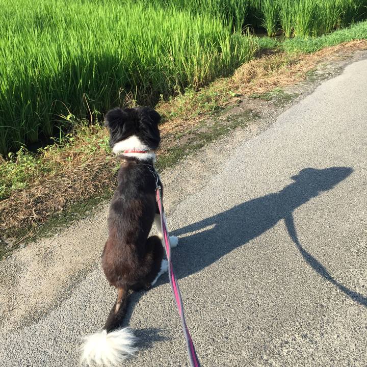 37794581 d7cf 4589 bd7a 38cd92115ae7