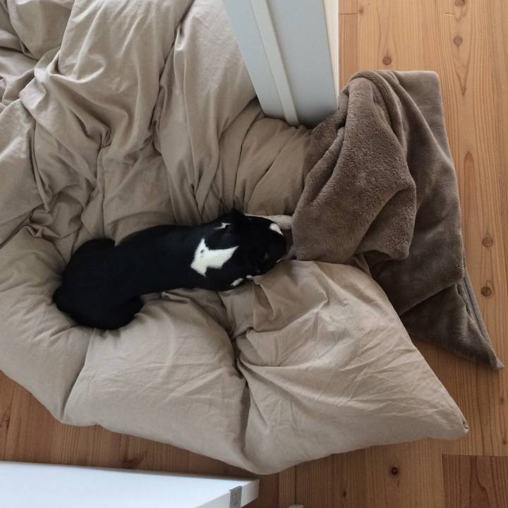 3779ae80 84dd 4705 9215 5a9ad45f8556