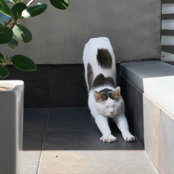 3779edf7 1a0c 4bb0 83f3 b303a9f95a29