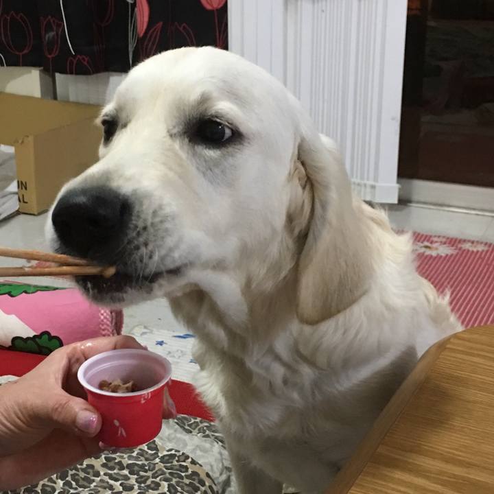 377a251f cbdf 4137 82b8 811d3370dad8