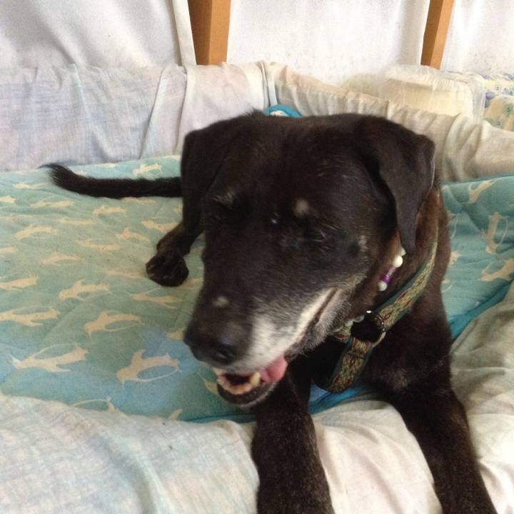 377a4b52 fec3 4f72 a128 90f598a0f73e