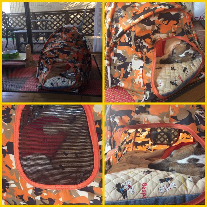 377a756f 4c8c 4e71 91b1 e8d8bfa45cfb