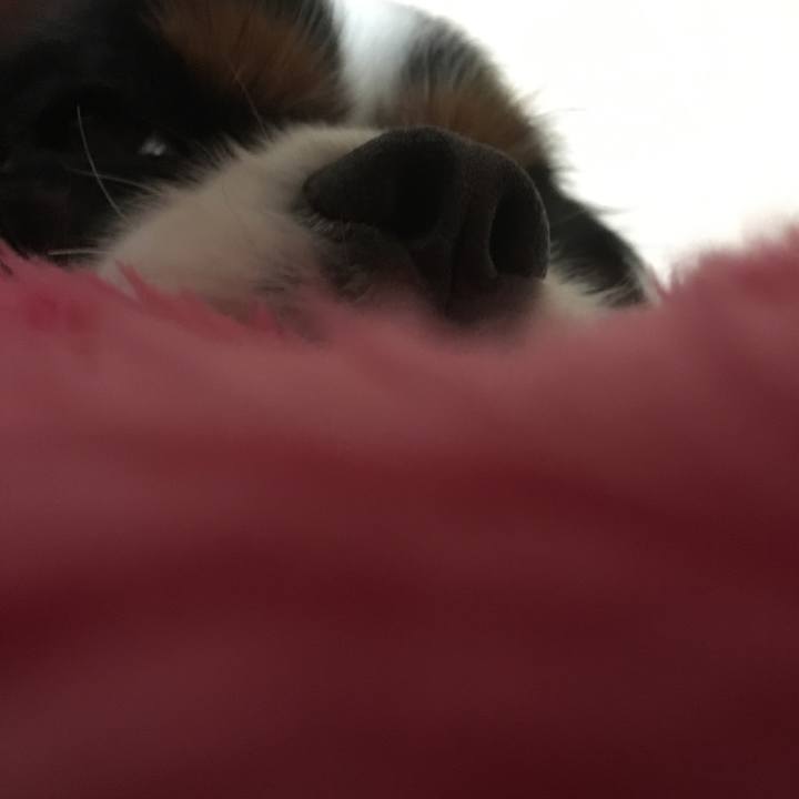 377b3c80 9bea 463b a106 603e2aad6605