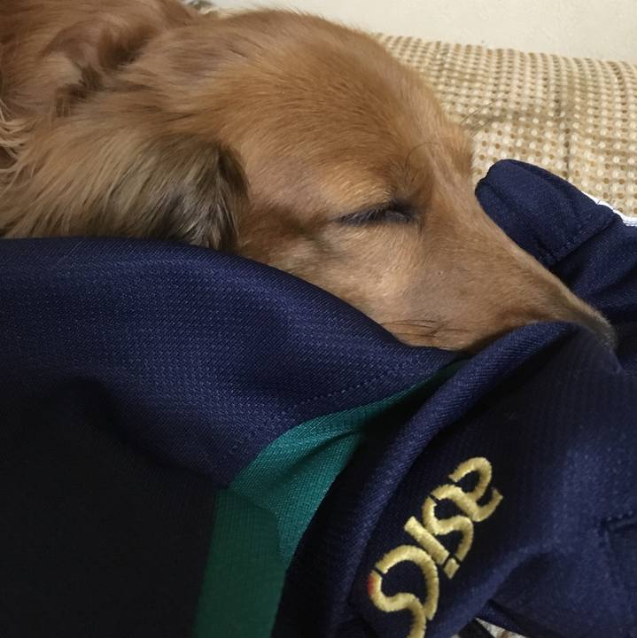 377baca7 c129 44e5 ba36 2c8304cb49bb