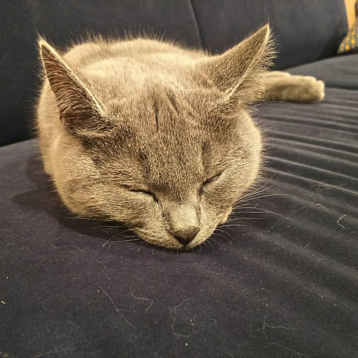 377c8747 b58d 4b19 9730 8f8dbc746832