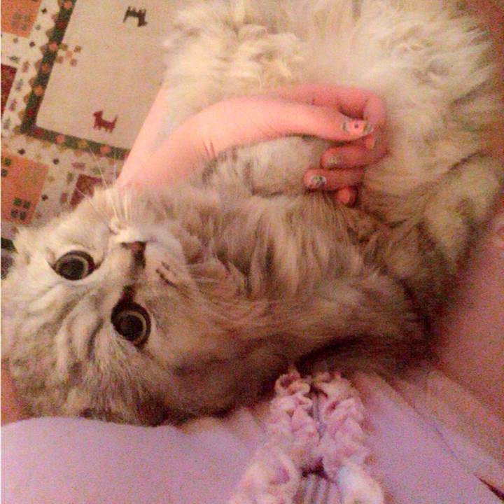 377cd48c b7c6 4eb9 9e87 7d23bbec2e12