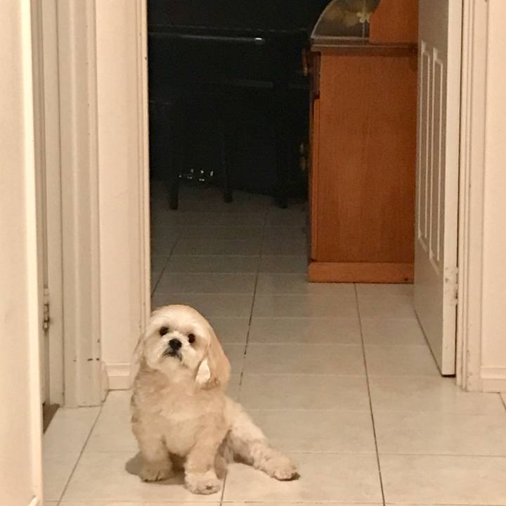 377d8fc4 2dcc 4d5a 80f0 aba984831aaa