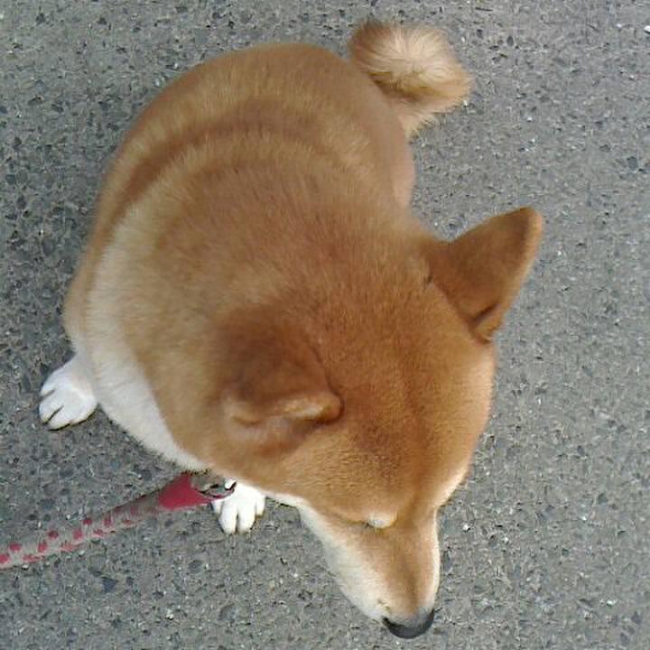 377dcf05 4fa7 4b2e b445 a4ce009d7c2b