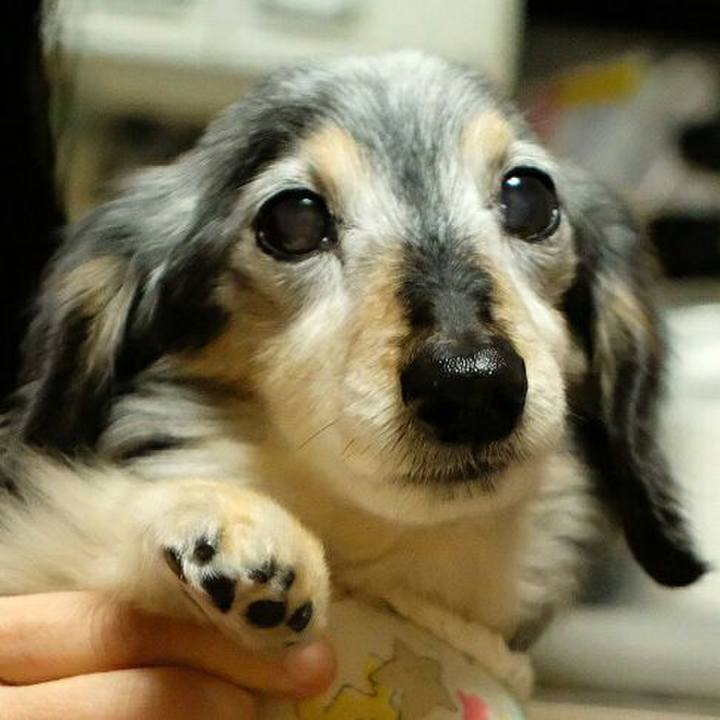 377e06ea 7bef 4830 a044 5e48fb0f953c