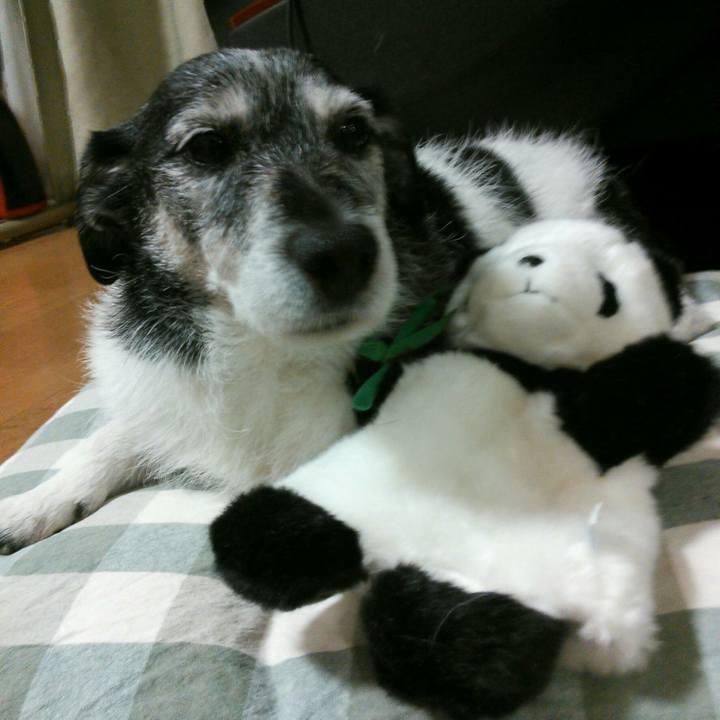 377e52fa eb13 4f2a 82ca 6412e0a658db