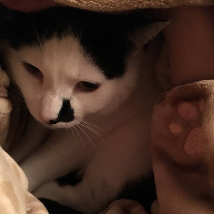 377e7ab3 1245 4b91 a1e8 aef53b3ea07b