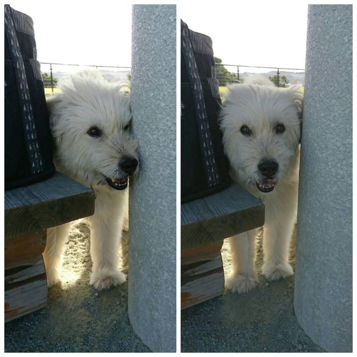 377f4b9d 15ba 49ad bff0 4d264ffbacfd