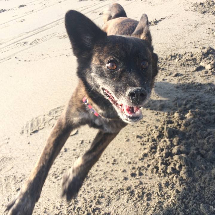 377f5c03 67ba 47a8 8004 e9f6da87bab2