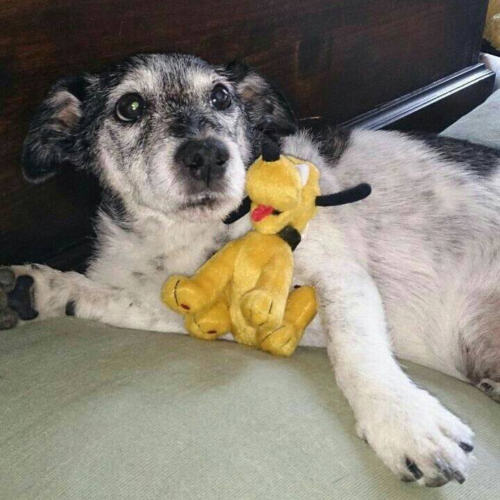 377f6234 bd63 4324 a2f9 6e4cab2b6cba