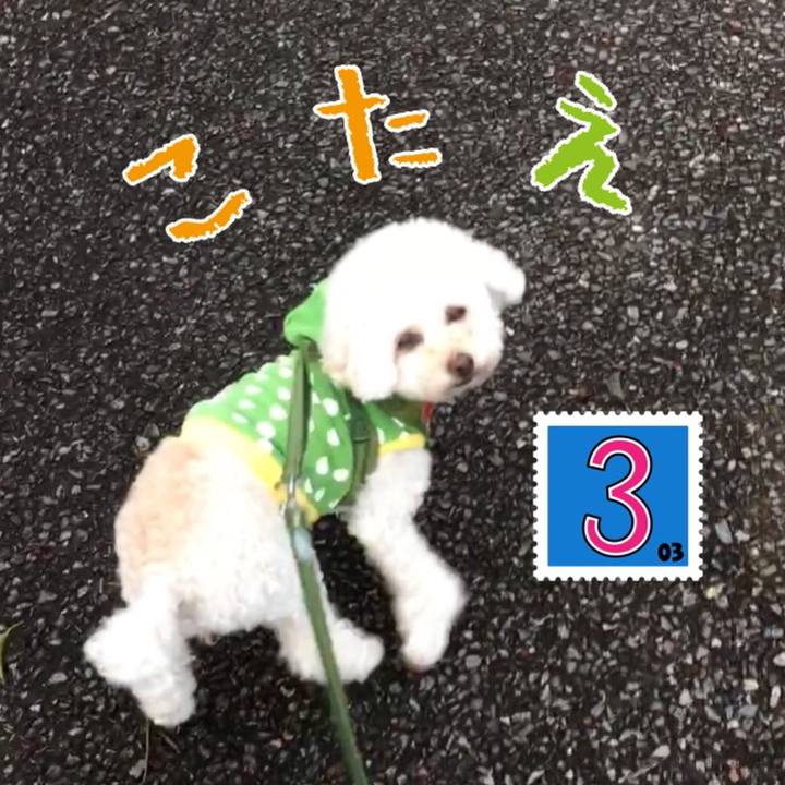 377f7067 0a0e 45c8 a900 f29e3dd889ce