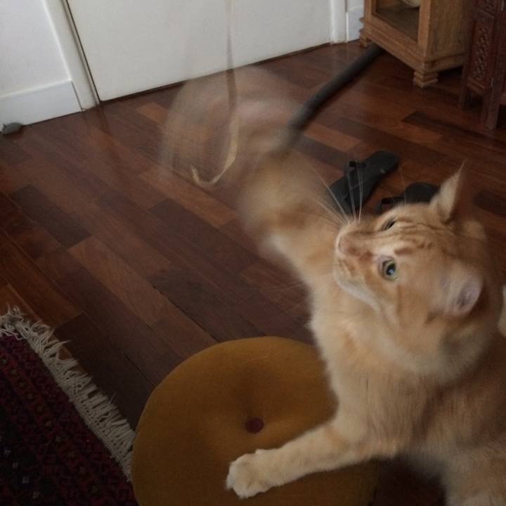 377f9daf e4fc 4281 918b 2ccf419c18c2