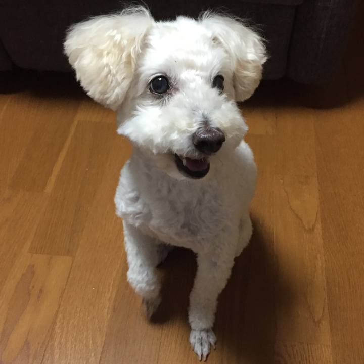 377fd7f8 c1eb 4b81 ae81 05d66b2e9e02