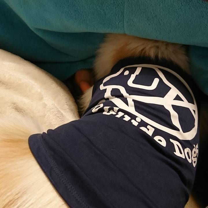 37805922 2d66 48bb a712 5127528e395e