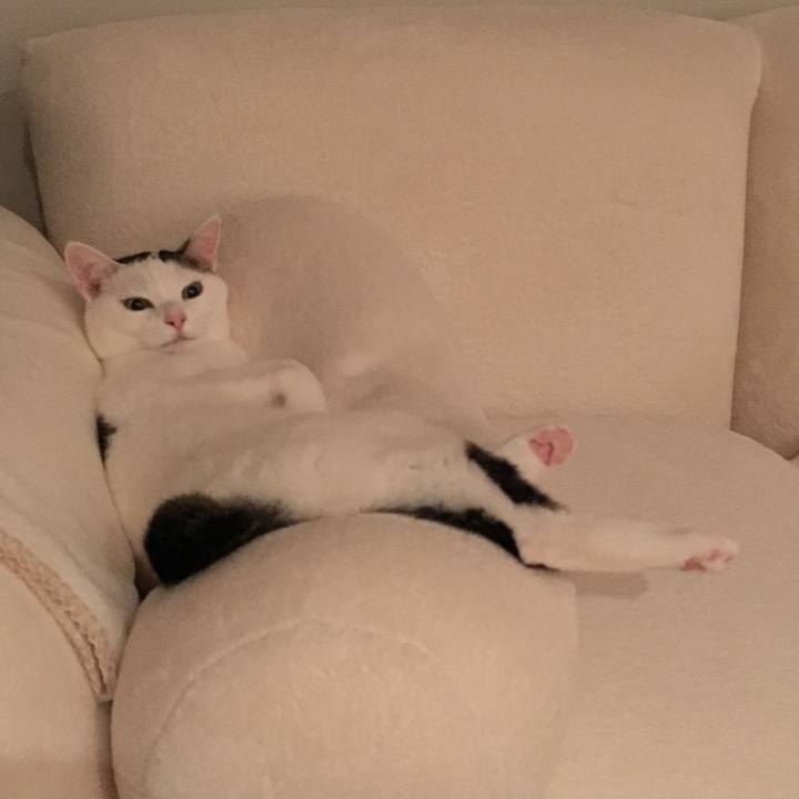 3780ab84 abe4 46cd 907e b3887ecf5987