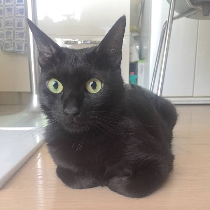 3780d569 a628 4c28 a29c fe2539fedc56