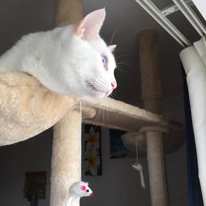 3781a909 b3a1 4533 b925 9aecd24946f8