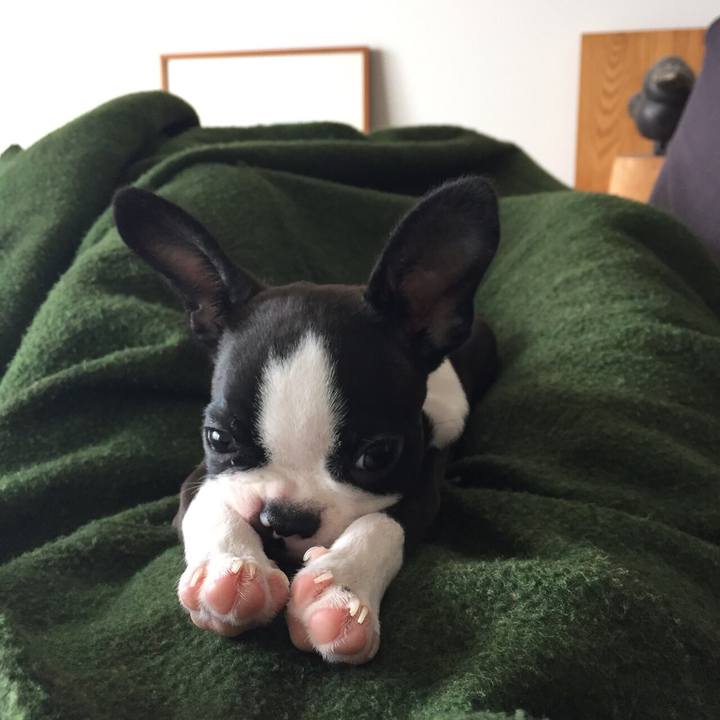 3781e808 2365 4164 8fdc 15e99ba3bfd6