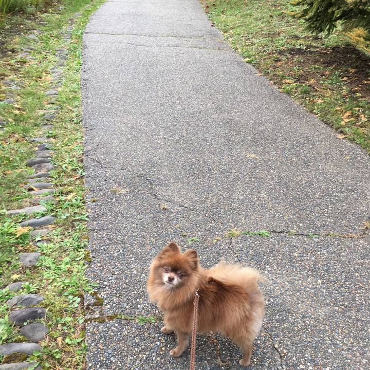 378211df dcfa 4eb9 9290 1b8993995a8f