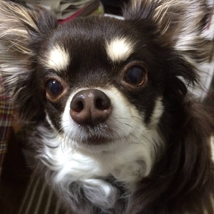 378245e2 690e 459a bab8 b5d7e9f252eb