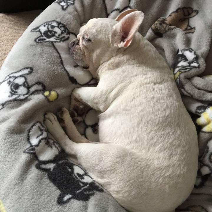 378261d3 7890 419c 90da 86156104c453