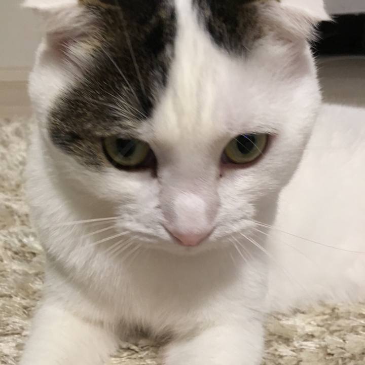 3782e01b d8af 4772 a852 de750cb471ff