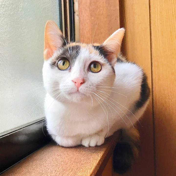 37834c08 e970 4ac2 a678 542d72626181