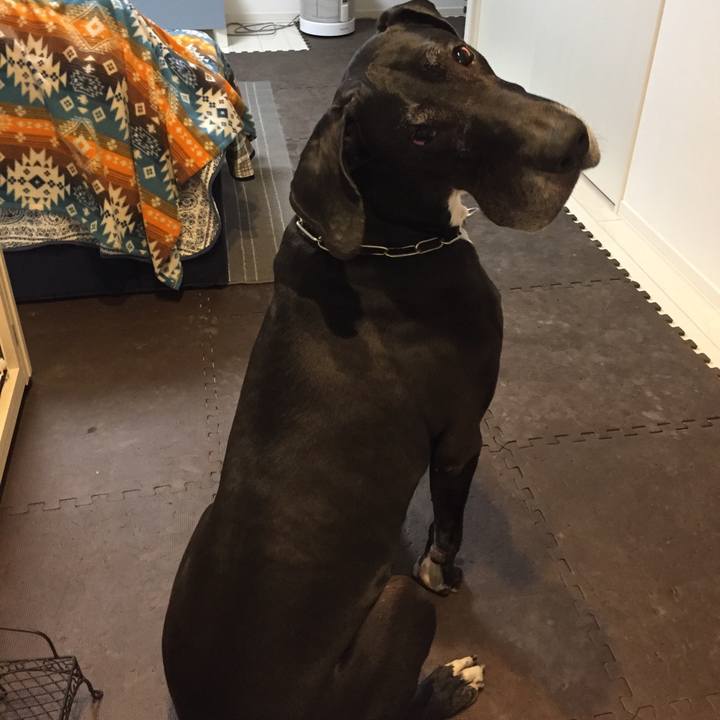 37836254 d1d9 4dfa ab70 8b1f5955840a