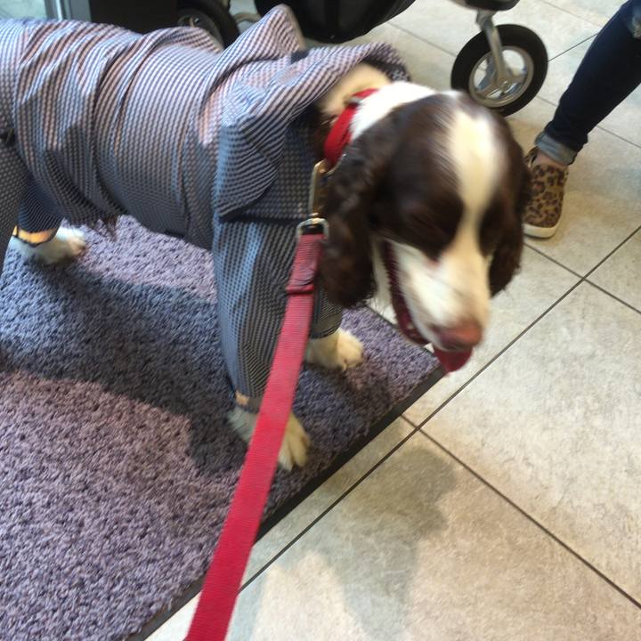 378381d6 deca 4a31 abb4 7b65ebe42d19