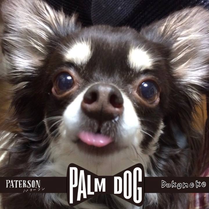 3783c5e0 817d 4188 af87 d873a6b507a7