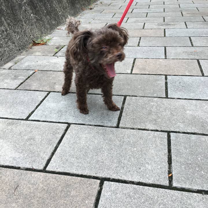 3783fa17 a578 44fe 9542 9106d681fba0