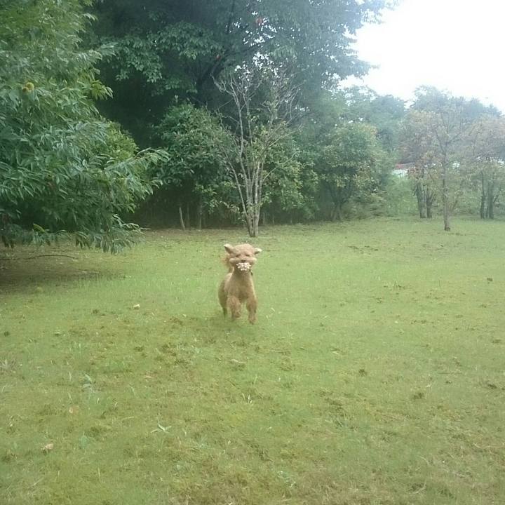 378429cd cc88 44e9 9521 d80b4ff76be9