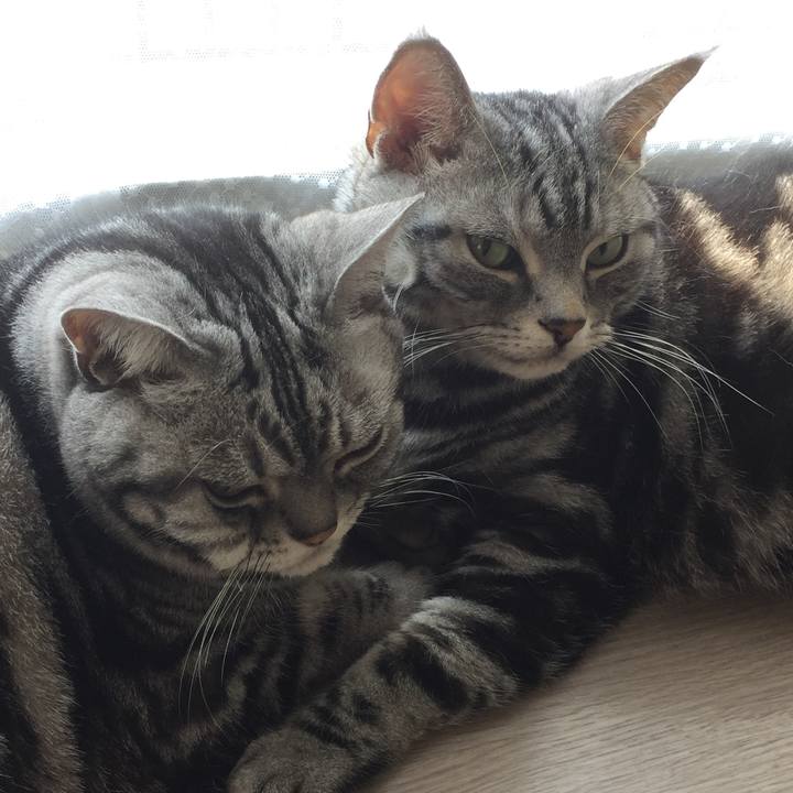 3785992f ff51 4c85 98a8 0f03f683160b