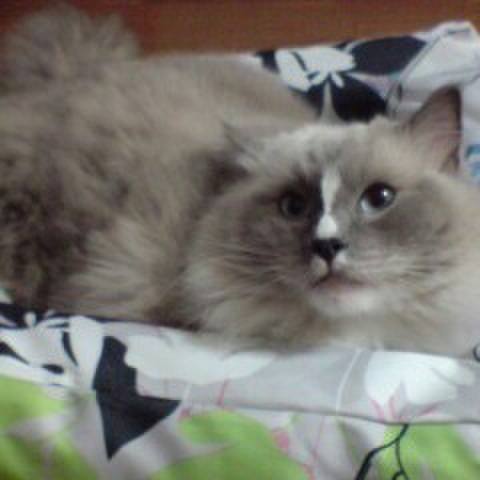 3785c606 4af9 43f6 84c6 dd3fc6d79904