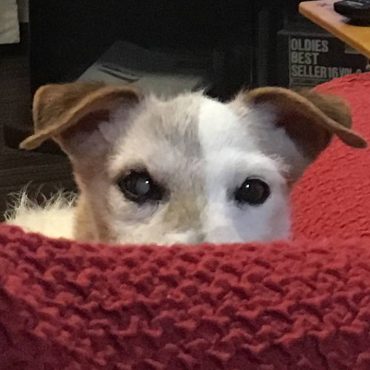 3785dea7 9beb 4206 b17d ffa552f7278c